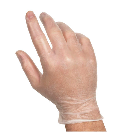 Handgards Eclipse Value Large PVC Glove - 100 per pack -- 10 packs per case.